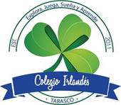 Logo IRLANDES